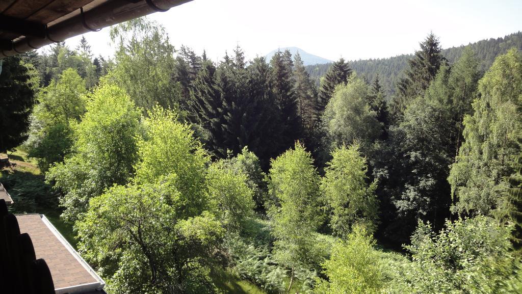 Trixi'S Guesthouse Hřensko Pokoj fotografie